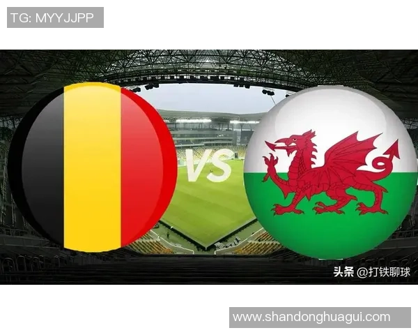威尔士与比利时比赛赔率分析及预测展望