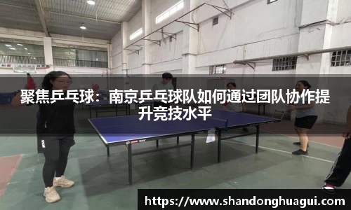 NG南宫体育官方网站